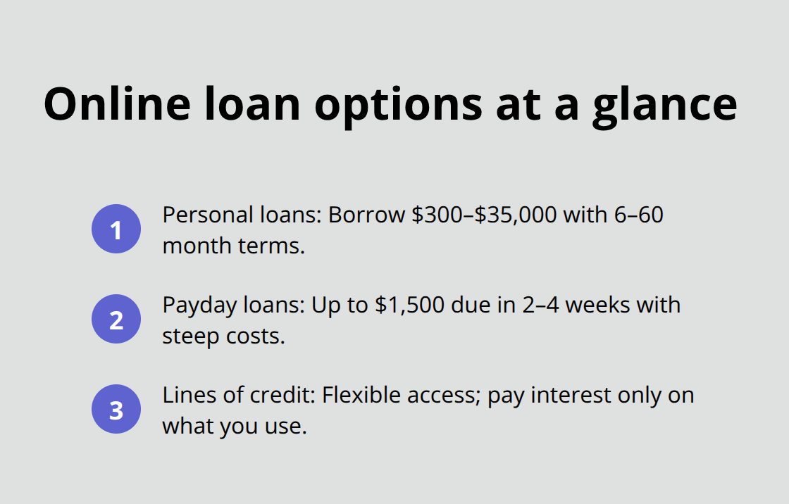 Quick comparison of common online loan types in Canada - online loans Canada guide