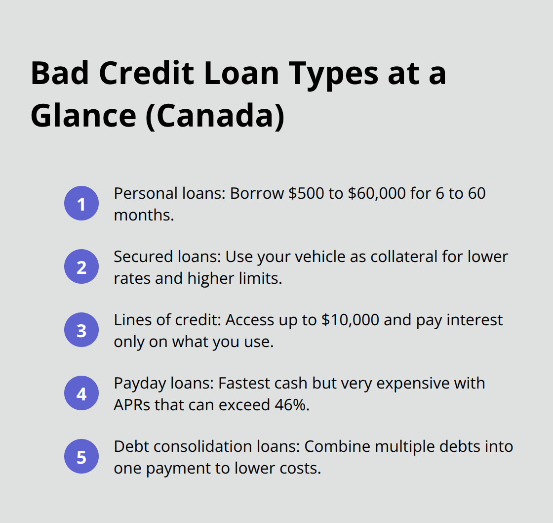 Overview of common bad credit loan options in Canada with typical amounts and use-cases.